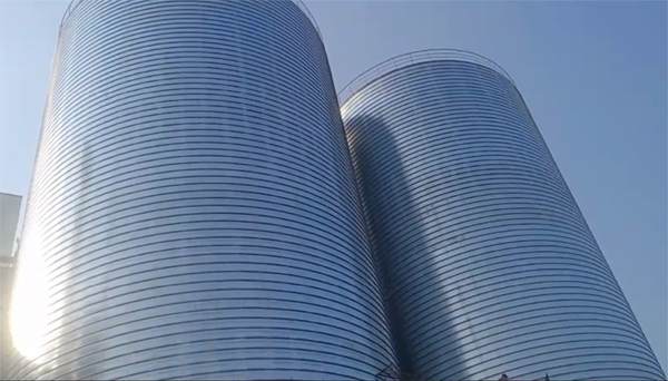 兴县2座混凝土高架卷板仓